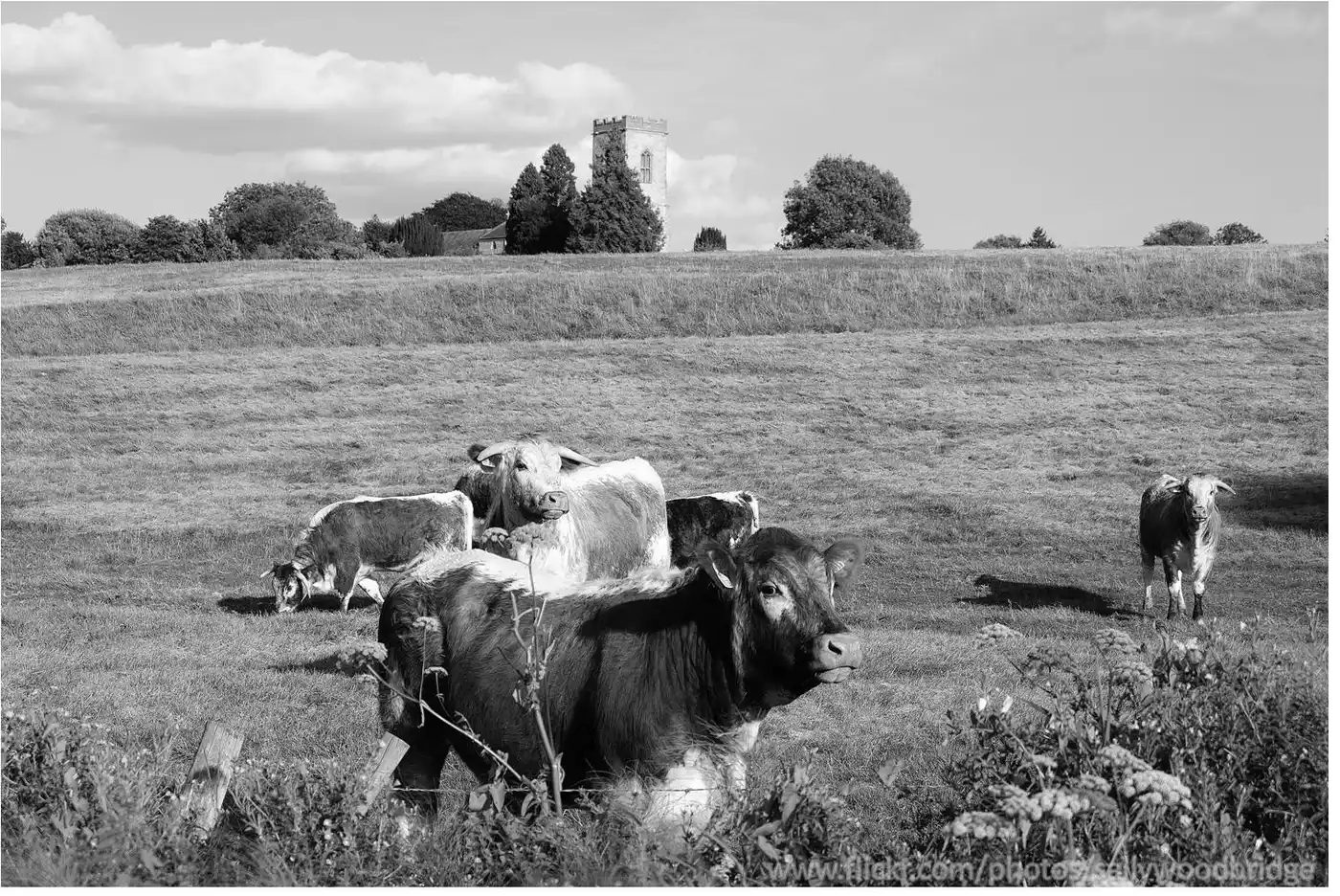 Paulerpurychurchb&w