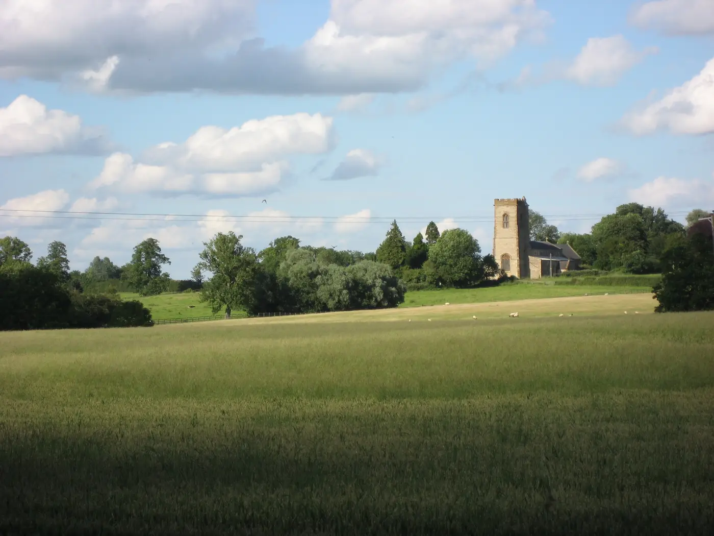 The Warren